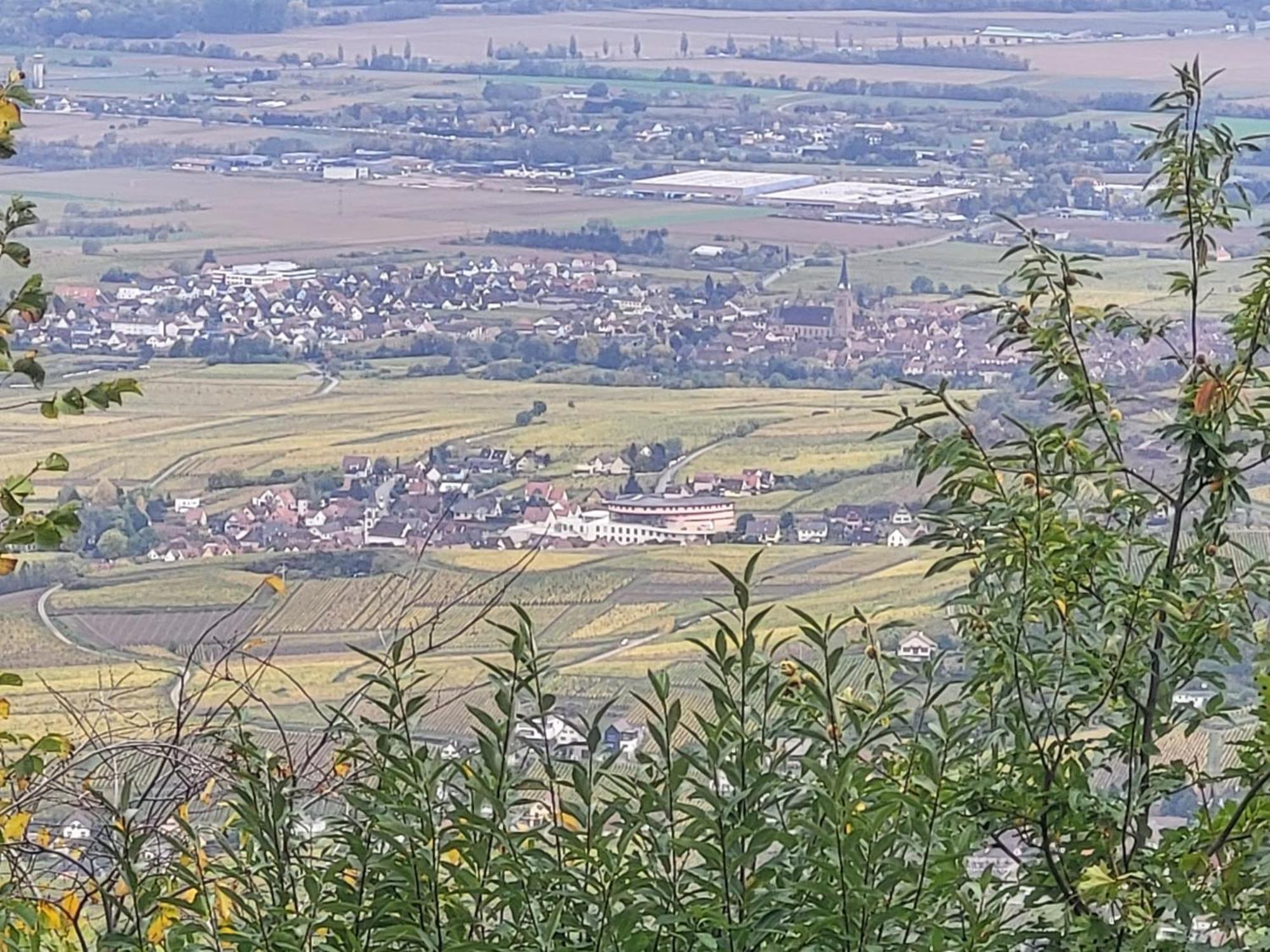 Sur La Route Du Vin Villa Rorschwihr Exterior photo